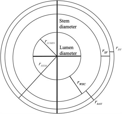 Phenotypic Variation of Cell Wall Composition and Stem Morphology in Hemp (Cannabis sativa L.): Optimization of Methods